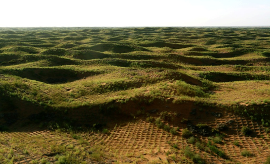 百年瞬间三北防护林一期工程宣告完成