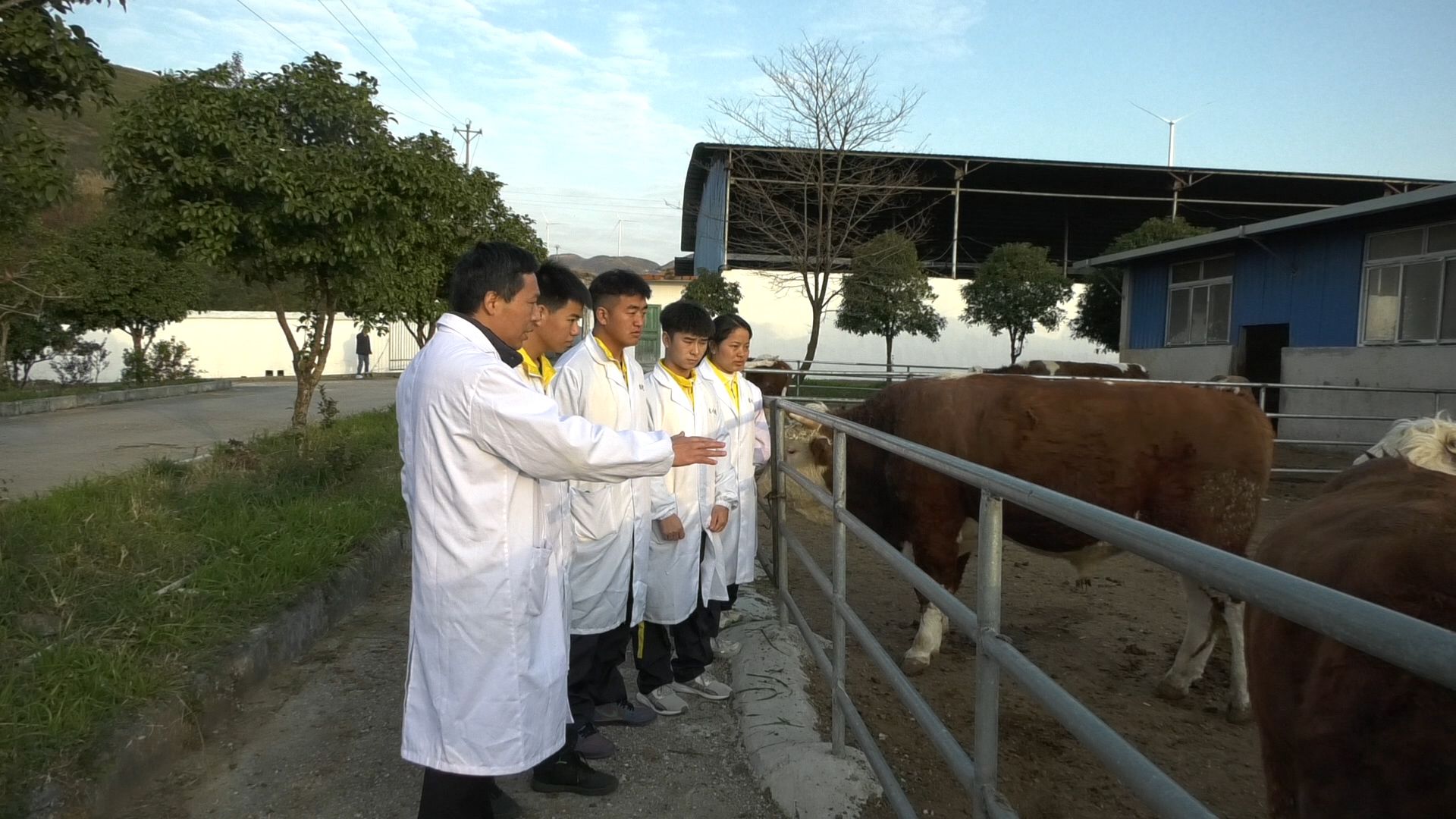 2018-2022年中國肉牛行業市場前乐竞体育- 乐竞体育官方网站- 乐竞体育APP景調查及投資風險研究報告