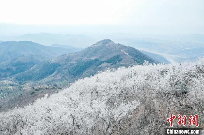 资料图:雪后初霁的老君山。汪冠 摄 点击进入下一页