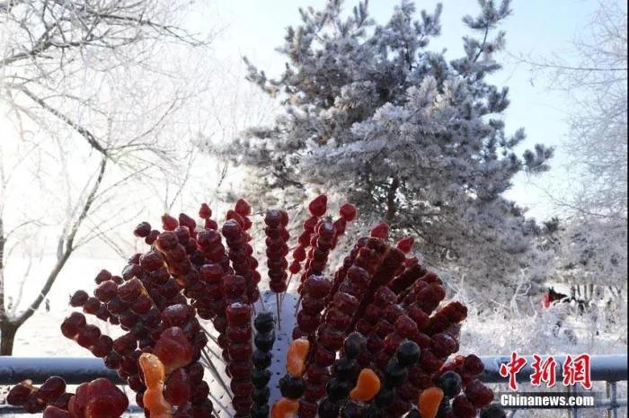 资料图:雾凇美景如画。苍雁 摄 点击进入下一页
