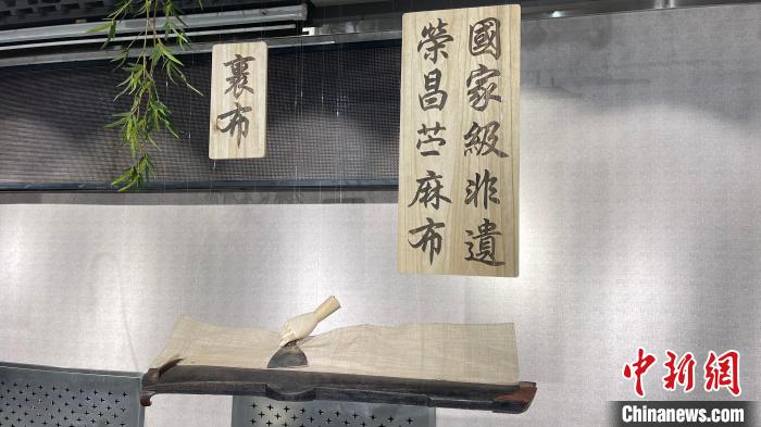 展出现场。　杨静 摄