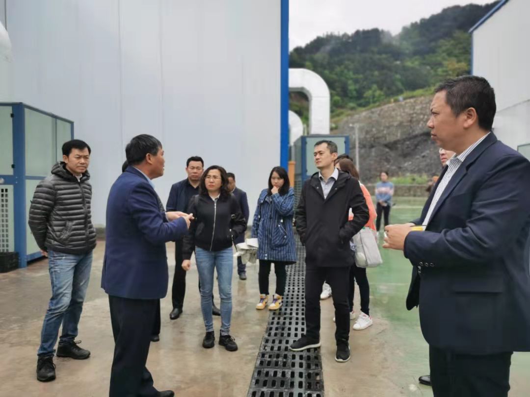 马林在剑河县建江菌业调研中.jpg