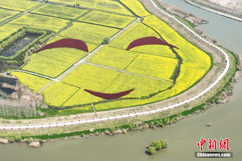 “邂逅”田园文化 南京浦口油菜地里绽放“笑脸”