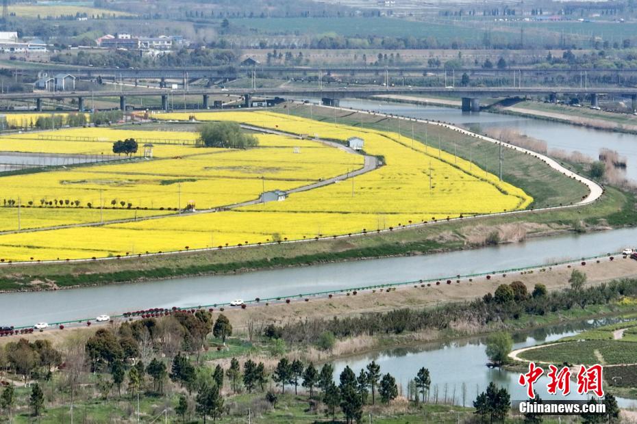 “邂逅”田园文化 南京浦口油菜地里绽放“笑脸”