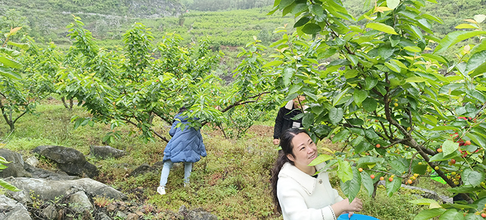 7590592F-A949-4582-BA72-C050A27536E6_IMAGE_1_LOW_0.jpg 7590592F-A949-4582-BA72-C050A27536E6_IMAGE_1_LOW_0.jpg