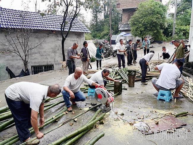 0D64158E-B45C-4FA7-8719-C210415BE1B3_IMAGE_0_LOW_0.jpg 0D64158E-B45C-4FA7-8719-C210415BE1B3_IMAGE_0_LOW_0.jpg