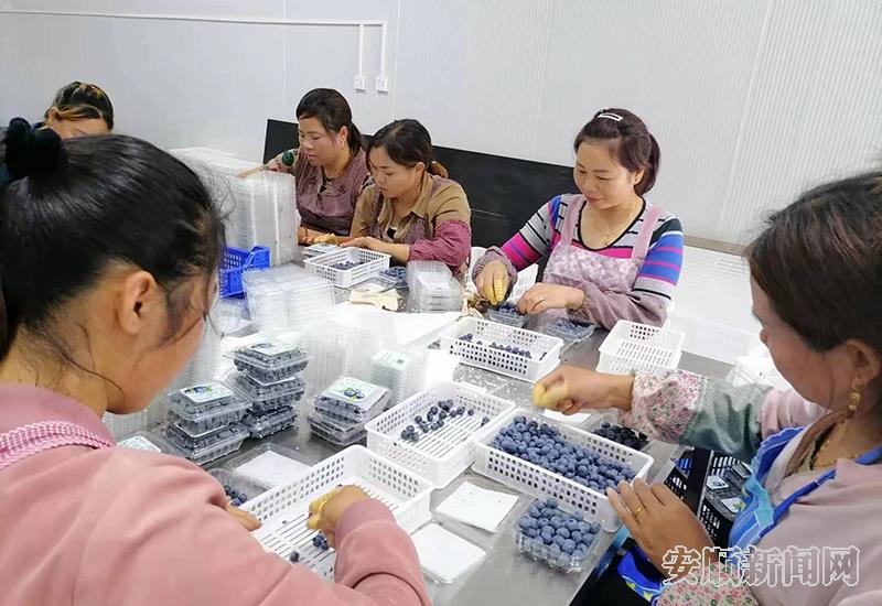 D65CAFFE-9AED-4401-9F13-1184816D06AA_IMAGE_0_LOW_0.jpg D65CAFFE-9AED-4401-9F13-1184816D06AA_IMAGE_0_LOW_0.jpg