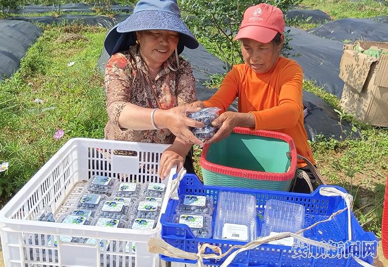 D65CAFFE-9AED-4401-9F13-1184816D06AA_IMAGE_3_LOW_0.jpg D65CAFFE-9AED-4401-9F13-1184816D06AA_IMAGE_3_LOW_0.jpg