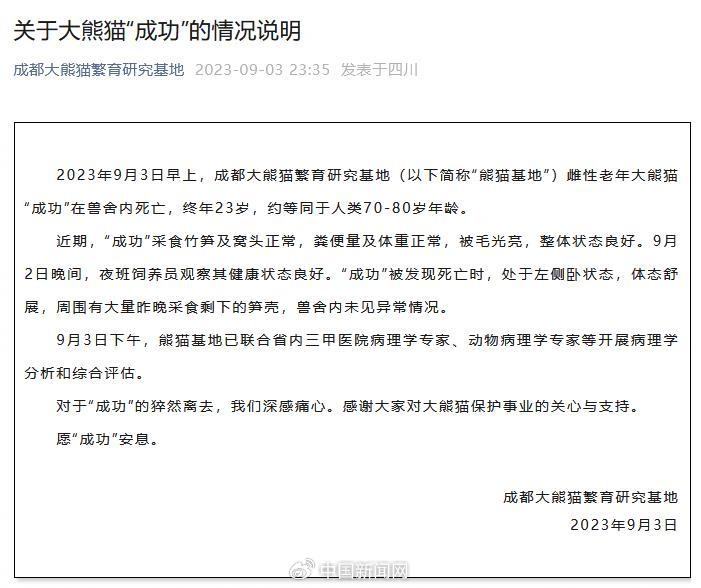https://r.sinaimg.cn/large/article/c72bacb97ab97fbbf4d89be72de1d42e