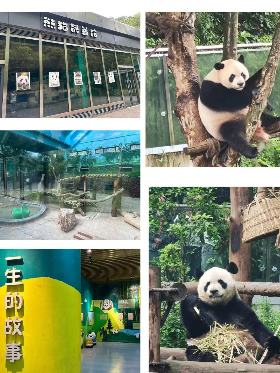 微信图片_20230927122858.jpg