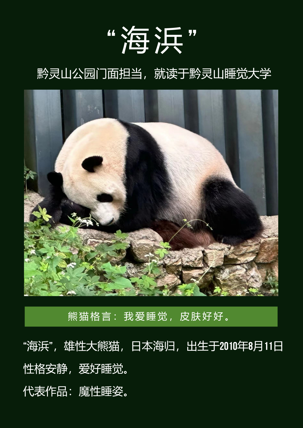 海浜介绍.png