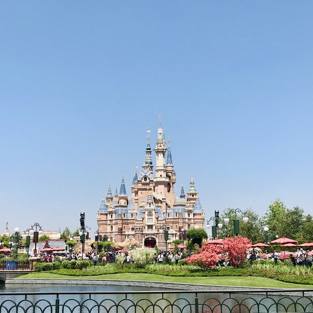 迪士尼的上新经济学